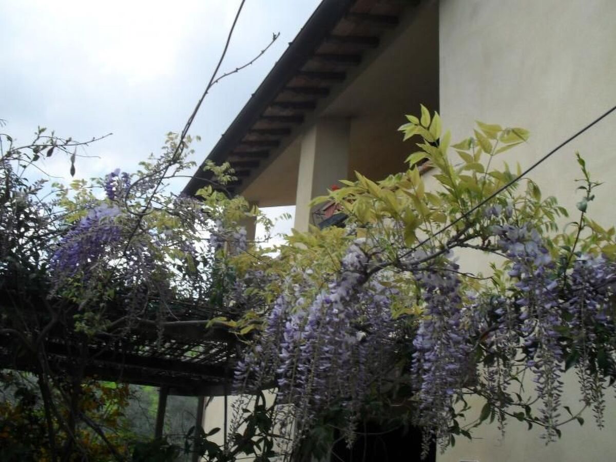 Appartement agritouristique avec piscine privée à Bevagna - Photo 4