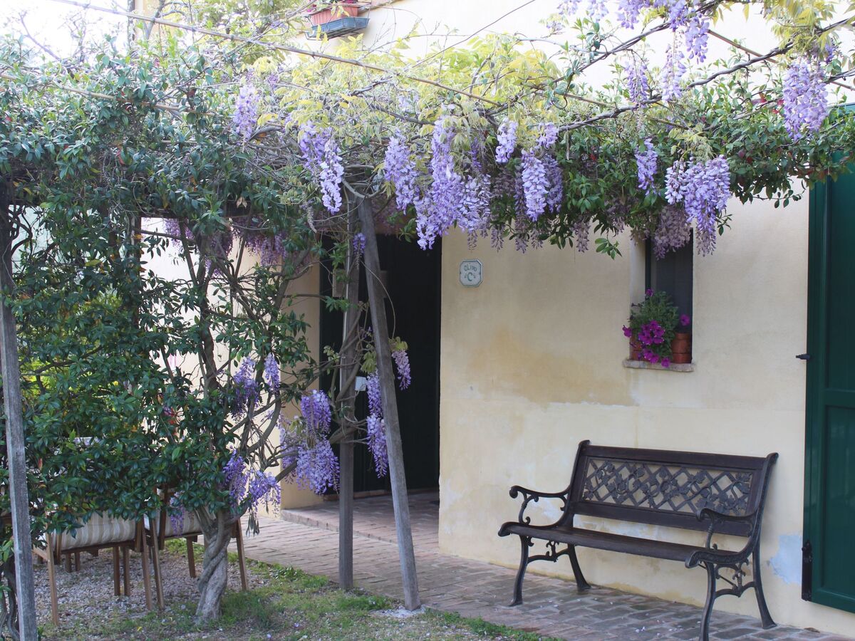 Appartement agritourisme avec piscine à Bevagna - Photo 10