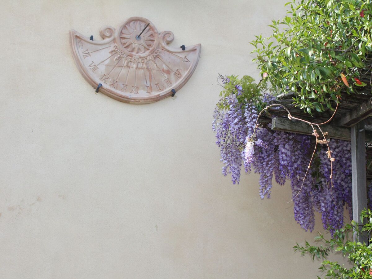 Appartement agritourisme avec piscine à Bevagna - Photo 20