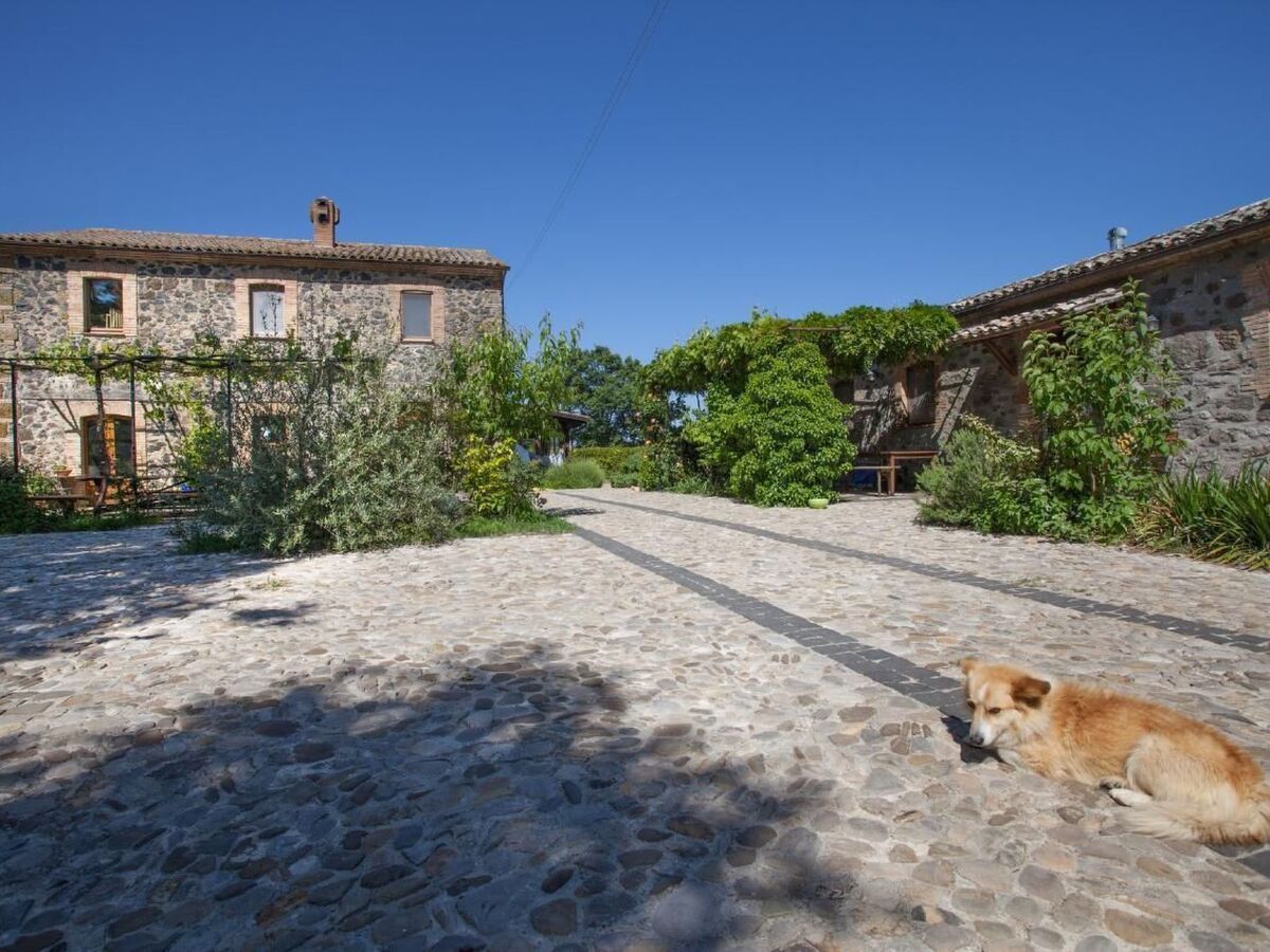 Appartamento Noce à Castel Giorgio - Photo 1