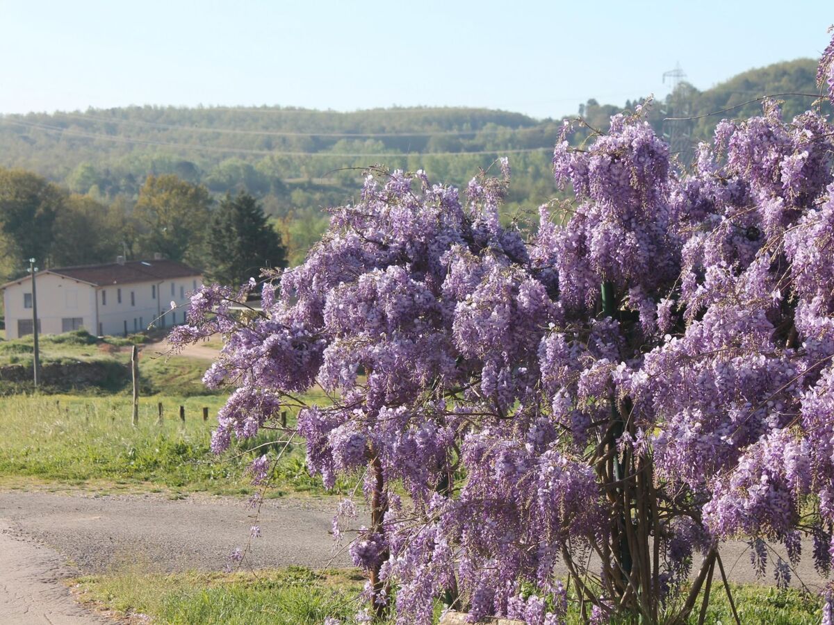 Maison de ferme Pietratonda, 5 chambres en Maremma toscane - Photo 7