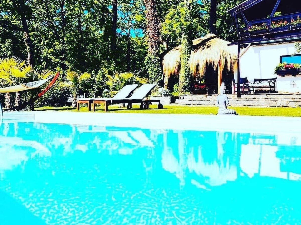 Chalet bois avec piscine infinity à Trevignano Romano - Photo 19