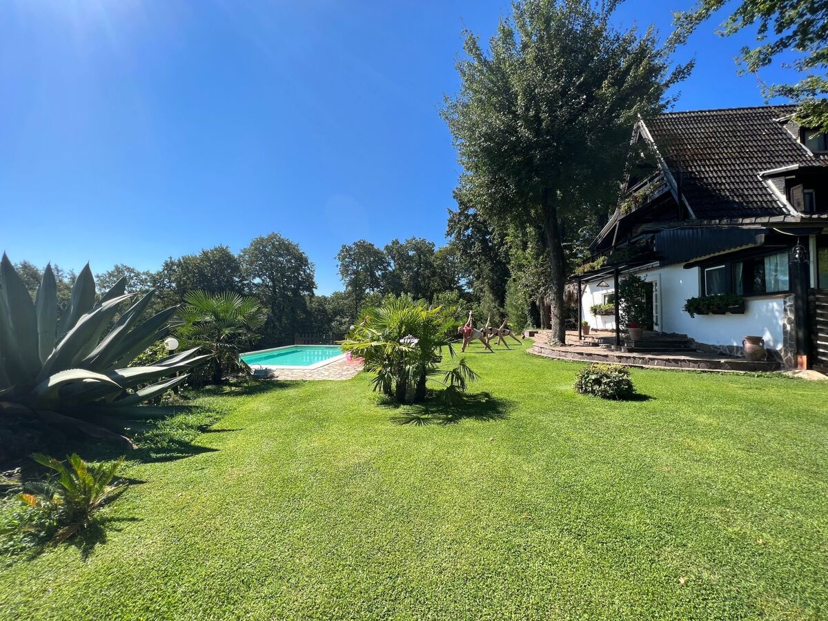 Chalet bois avec piscine infinity à Trevignano Romano - Photo 85