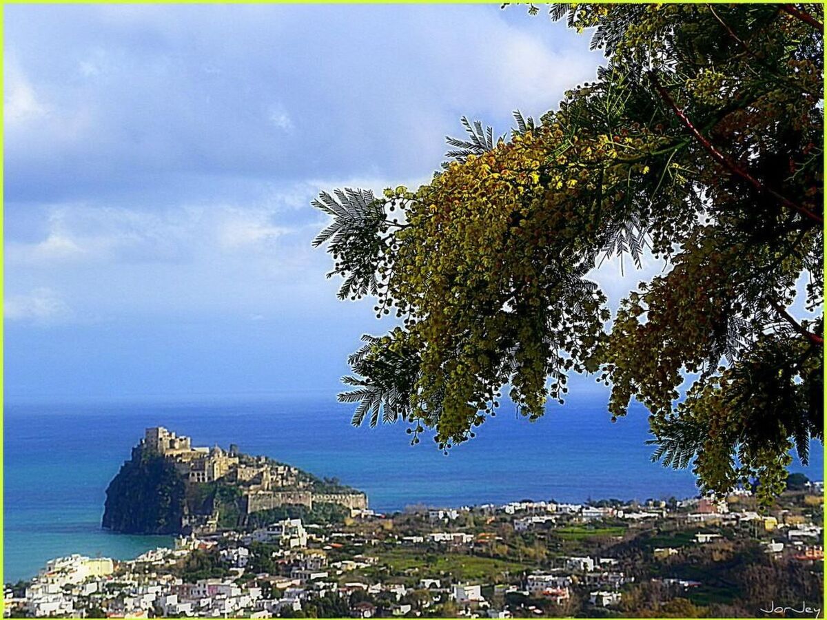 Appartement Ischia avec terrasse, 2 km de la plage - Photo 30