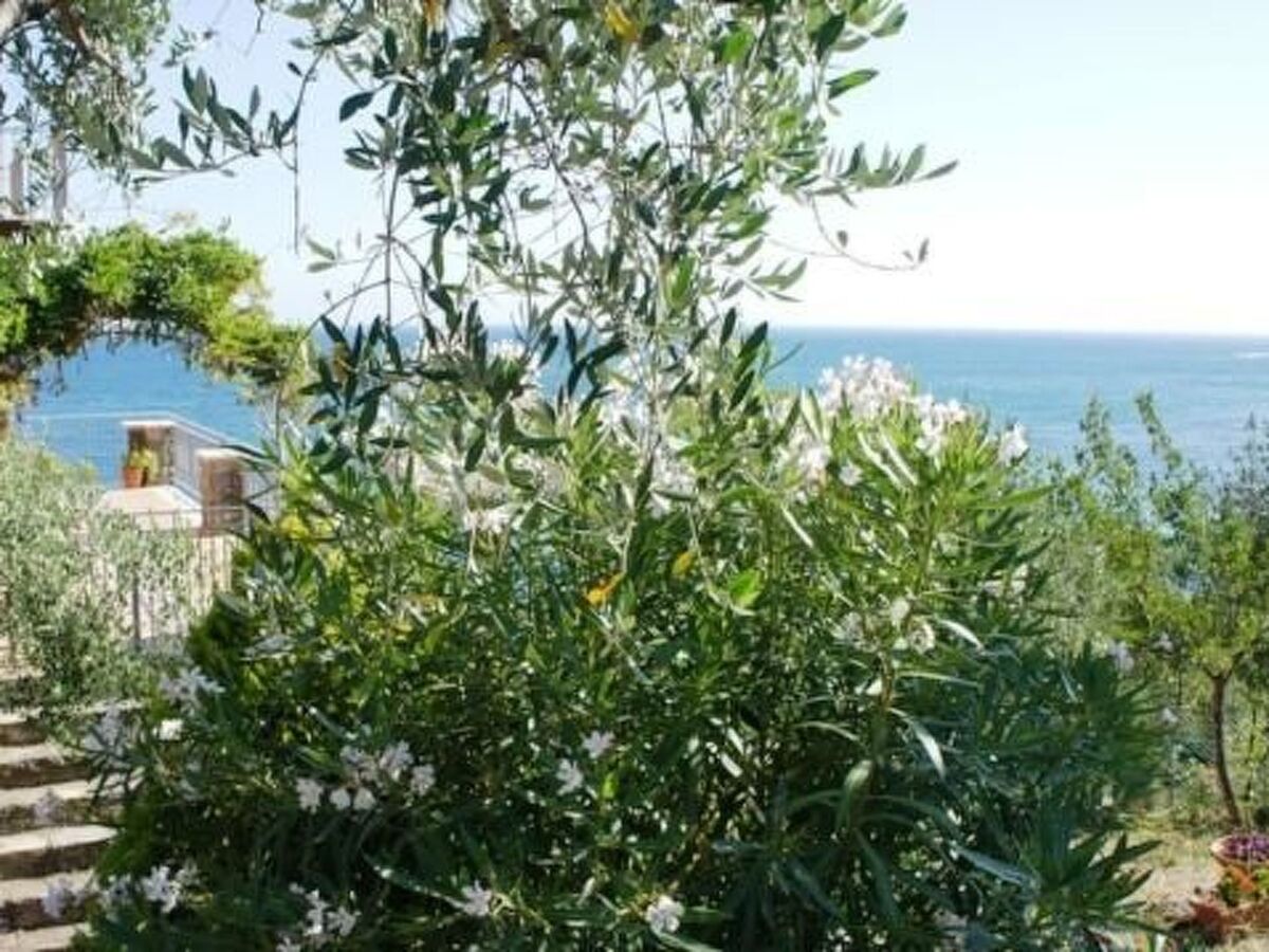 Villa Anita à Montecorice, accès privé à la mer - Photo 29