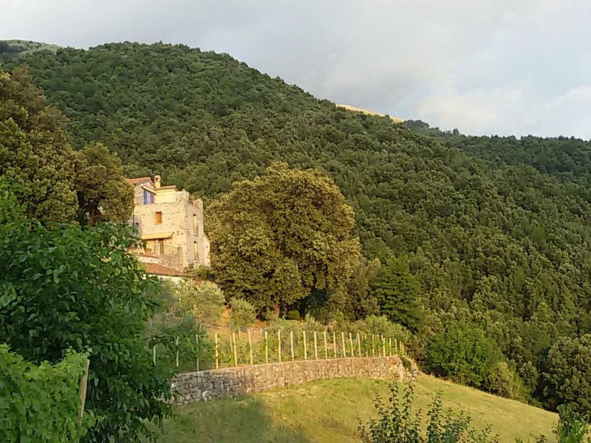 Studio avec vue mer au cœur du Cilento - Photo 3