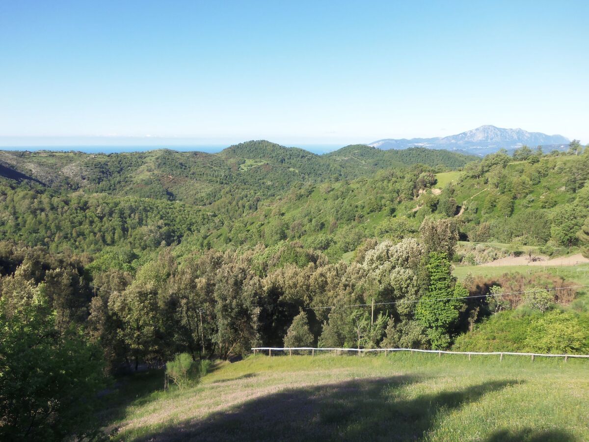 Studio avec vue mer au cœur du Cilento - Photo 5