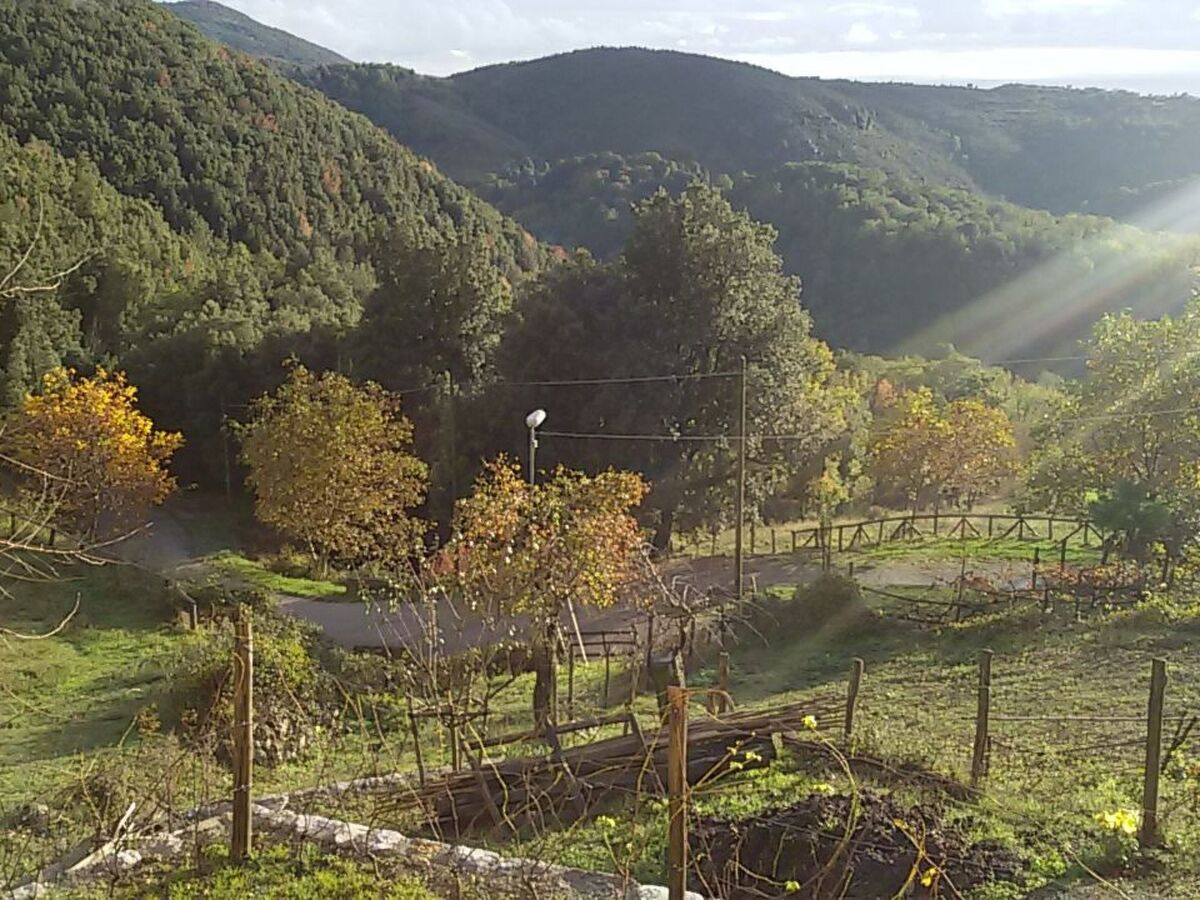 Studio avec vue mer au cœur du Cilento - Photo 20