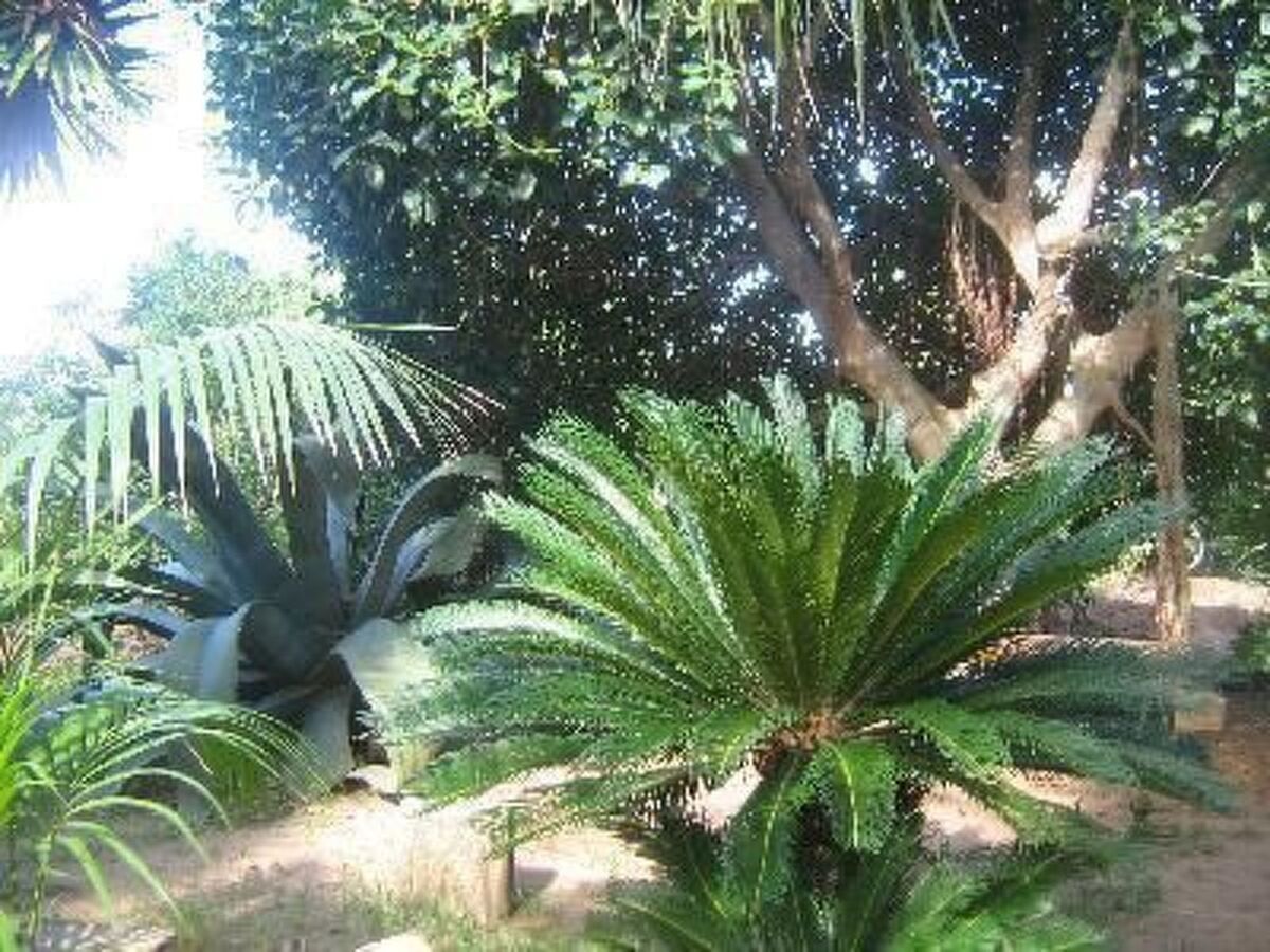 Villa Marianna – 3 chambres, jardin 8000 m², parking - Photo 4