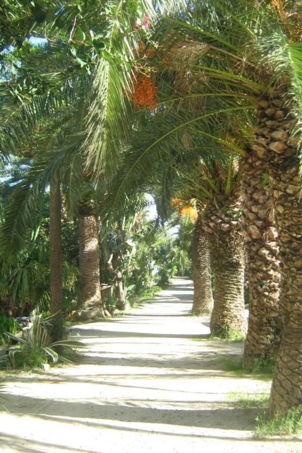Villa Marianna – 3 chambres, jardin 8000 m², parking - Photo 5