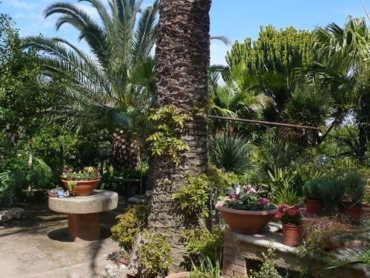 Villa Marianna – 3 chambres, jardin 8000 m², parking - Photo 20