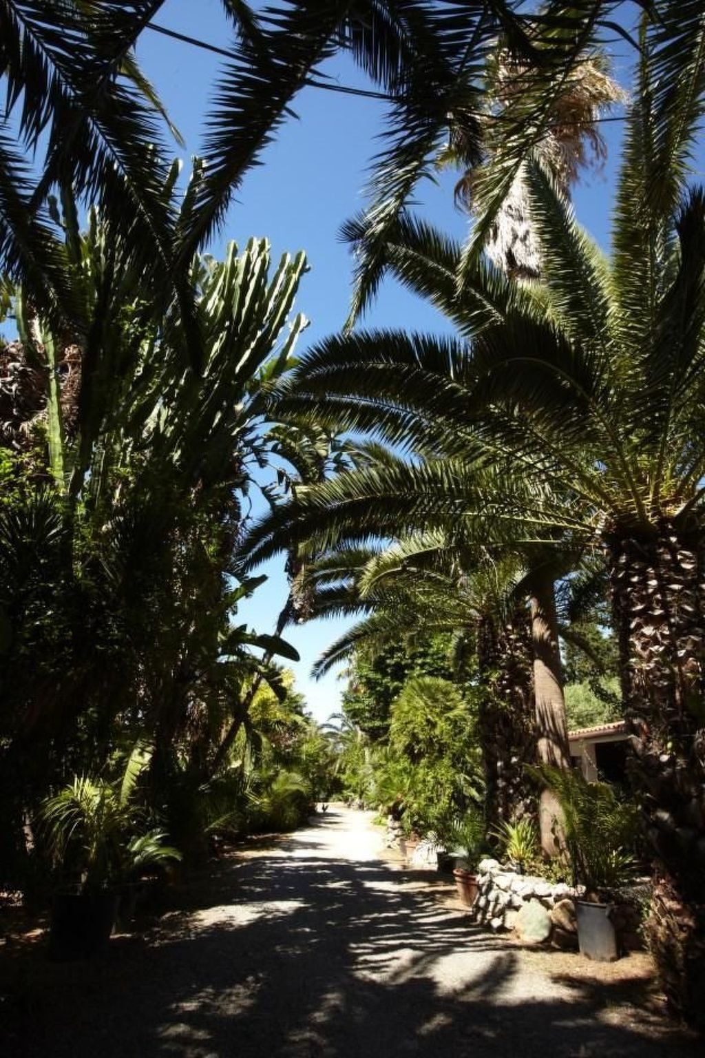 Villa Marianna – 3 chambres, jardin 8000 m², parking - Photo 21