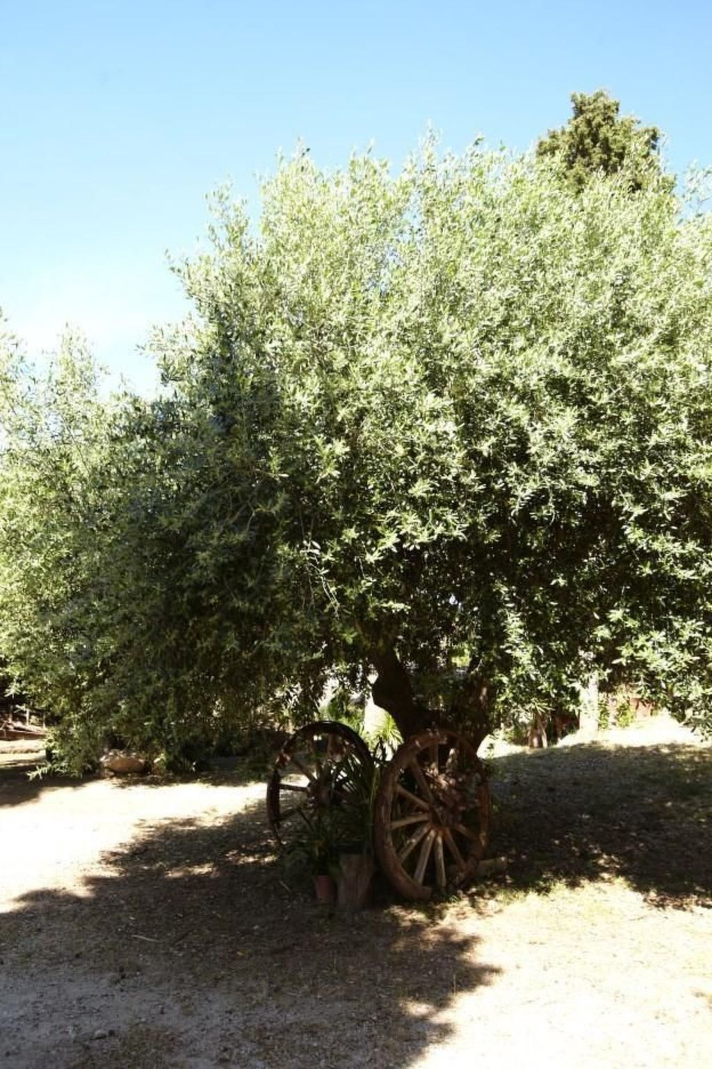 Villa Marianna – 3 chambres, jardin 8000 m², parking - Photo 26