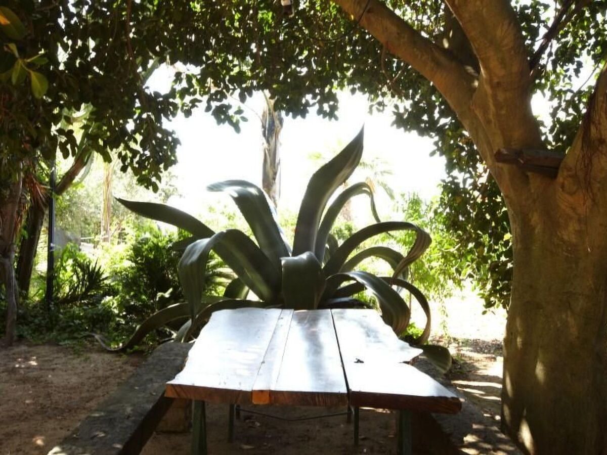 Villa Marianna – 3 chambres, jardin 8000 m², parking - Photo 33