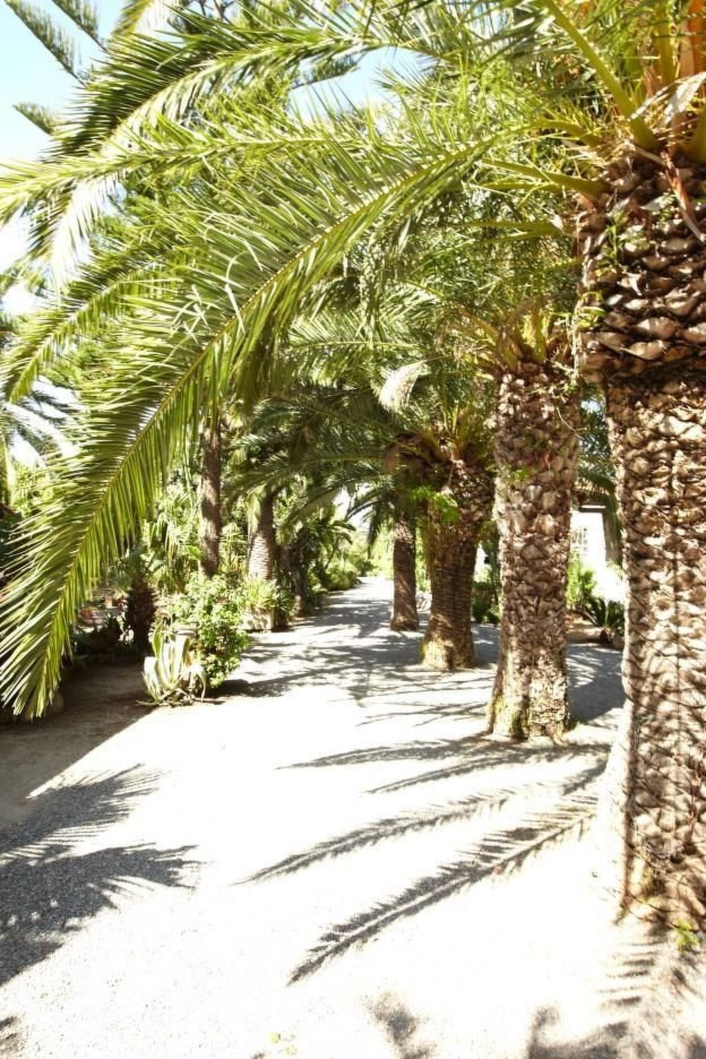 Villa Marianna – 3 chambres, jardin 8000 m², parking - Photo 35