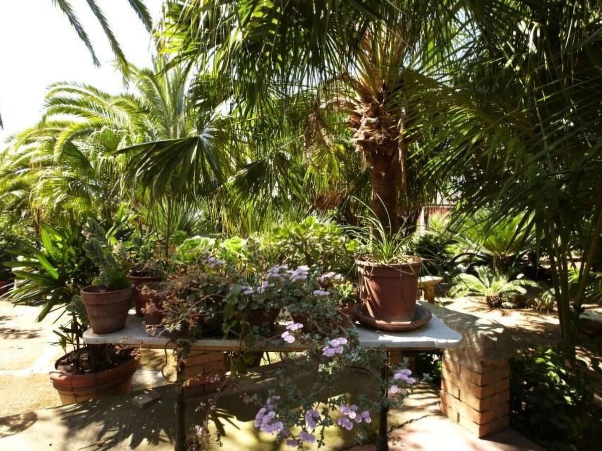 Villa Marianna – 3 chambres, jardin 8000 m², parking - Photo 36