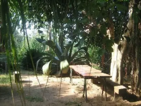 Villetta Loco – maison dans un jardin méditerranéen à Capo Vaticano : photo 5