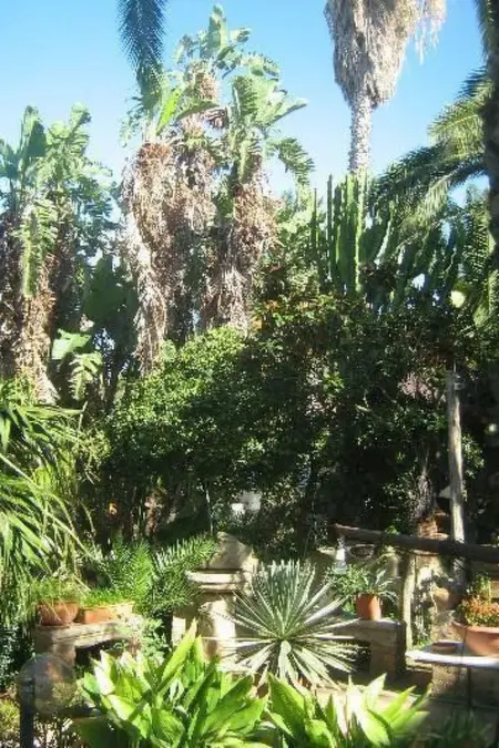 Villetta Loco – maison dans un jardin méditerranéen à Capo Vaticano : photo 8