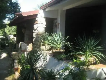 Villetta Loco – maison dans un jardin méditerranéen à Capo Vaticano : photo 10
