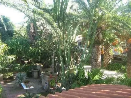 Villetta Loco – maison dans un jardin méditerranéen à Capo Vaticano : photo 14