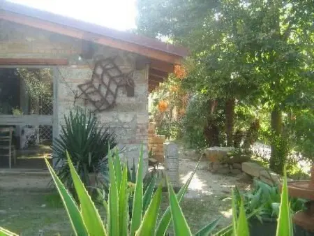 Villetta Loco – maison dans un jardin méditerranéen à Capo Vaticano : photo 18