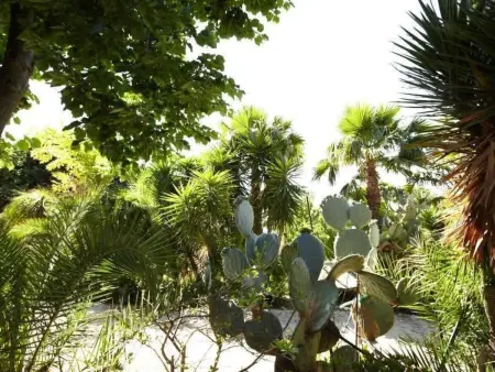 Villetta Loco – maison dans un jardin méditerranéen à Capo Vaticano : photo 31