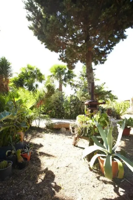 Villetta Loco – maison dans un jardin méditerranéen à Capo Vaticano : photo 33