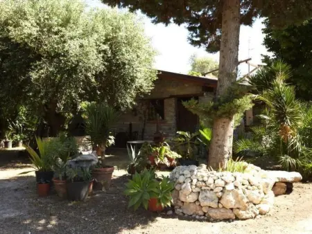 Villetta Loco – maison dans un jardin méditerranéen à Capo Vaticano : photo 35