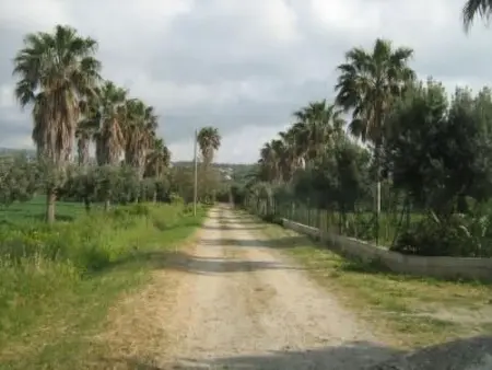 Villetta Sara - Maison méditerranéenne à Capo Vaticano : photo 16