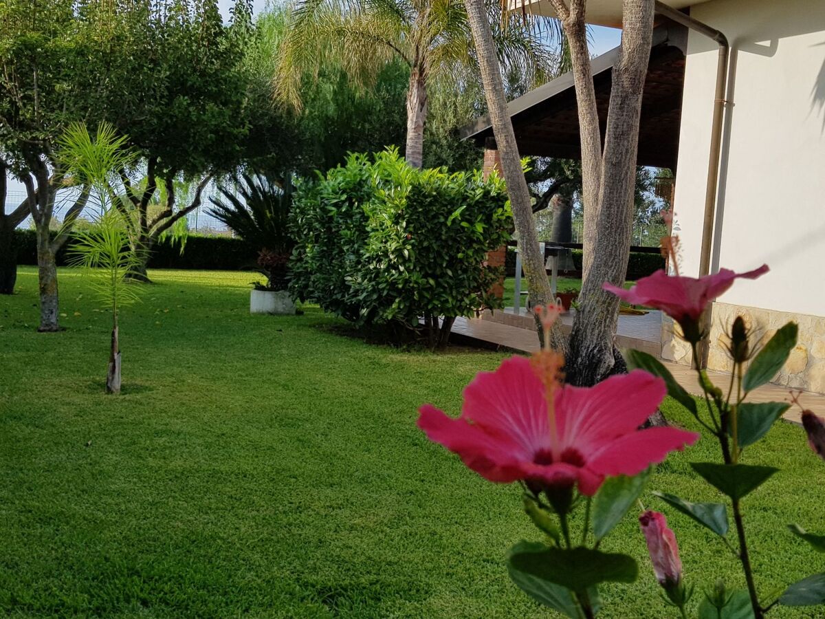Appartement Roberta à Capo Vaticano, 400m de la plage - Photo 36