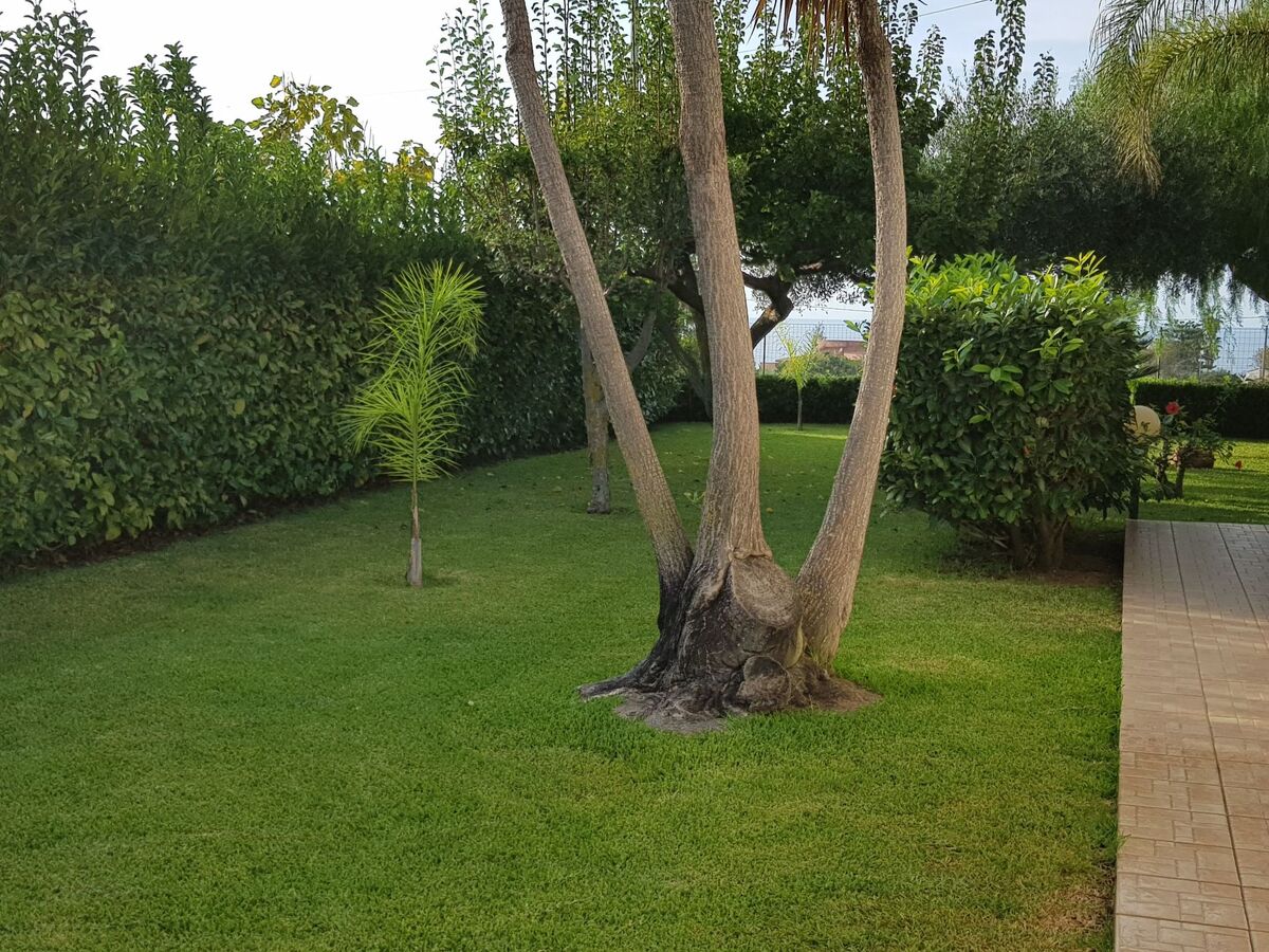 Appartement 6 pers. Capo Vaticano, jardin et vue mer - Photo 30