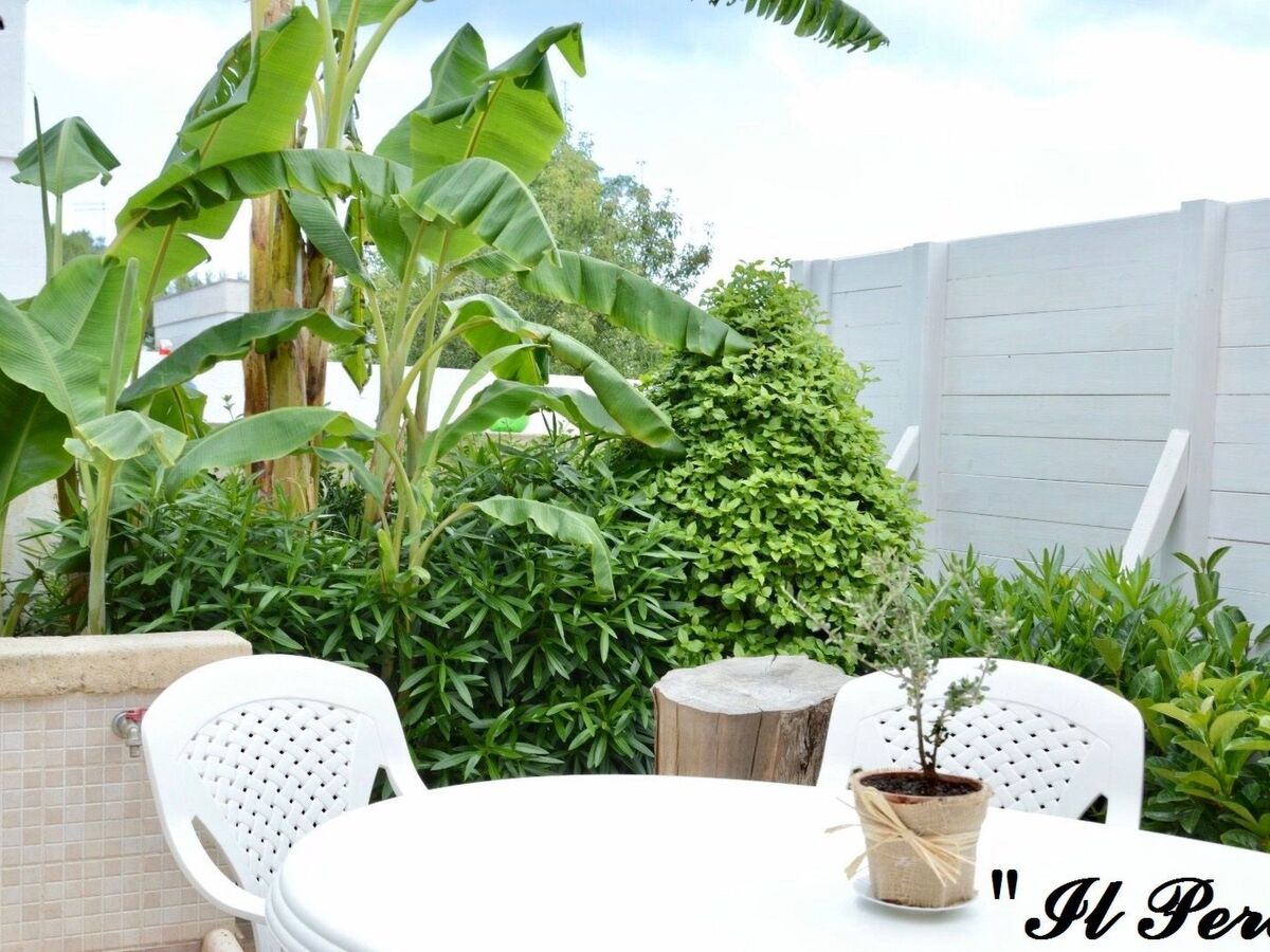 Il Pero - Appartement 4 personnes à 400 m de la plage - Photo 7