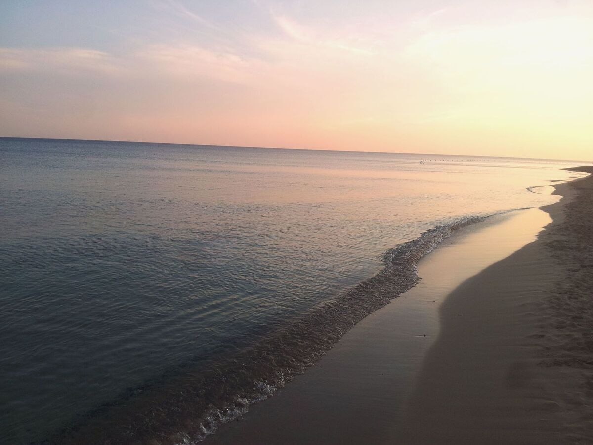 Il Pero - Appartement 4 personnes à 400 m de la plage - Photo 28