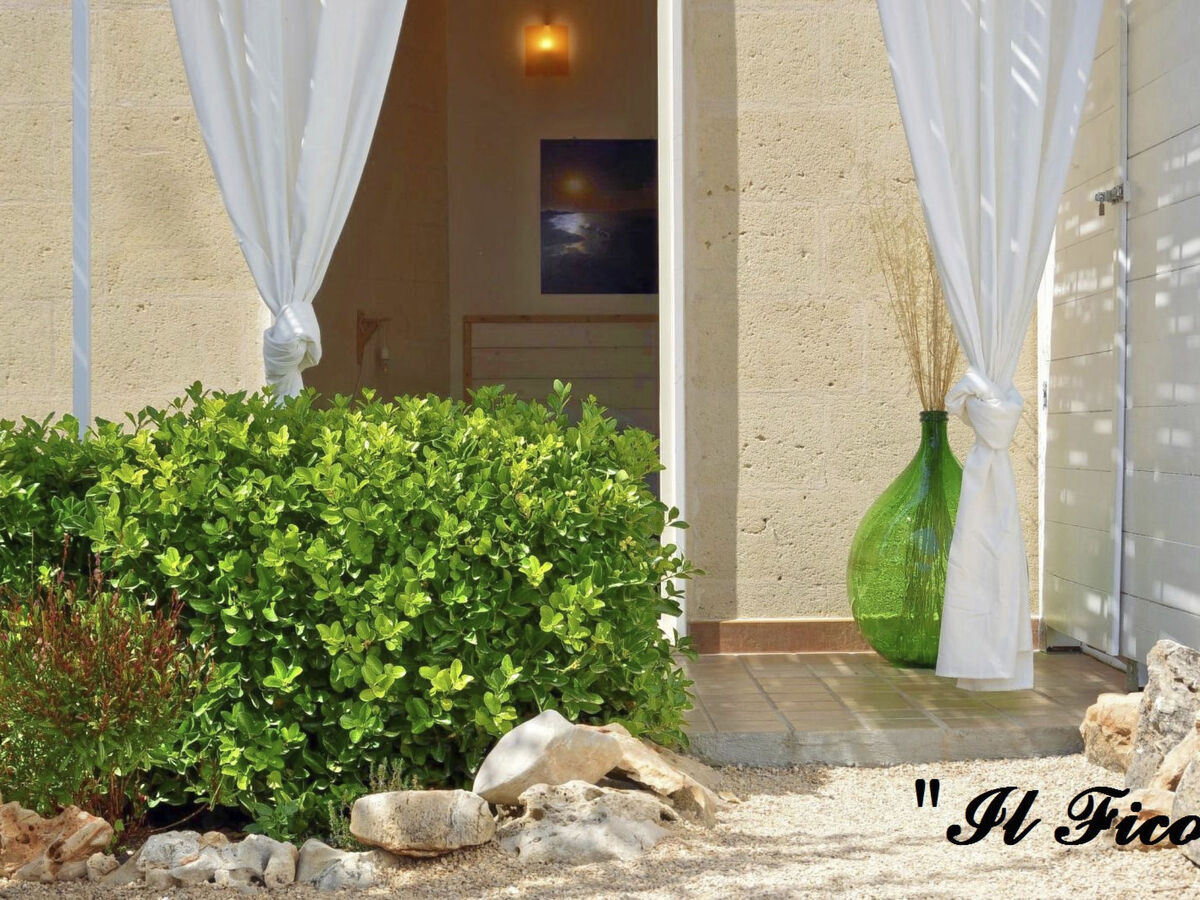 Il Fico – Appartement 2 pers. à 400 m de la mer - Photo 11