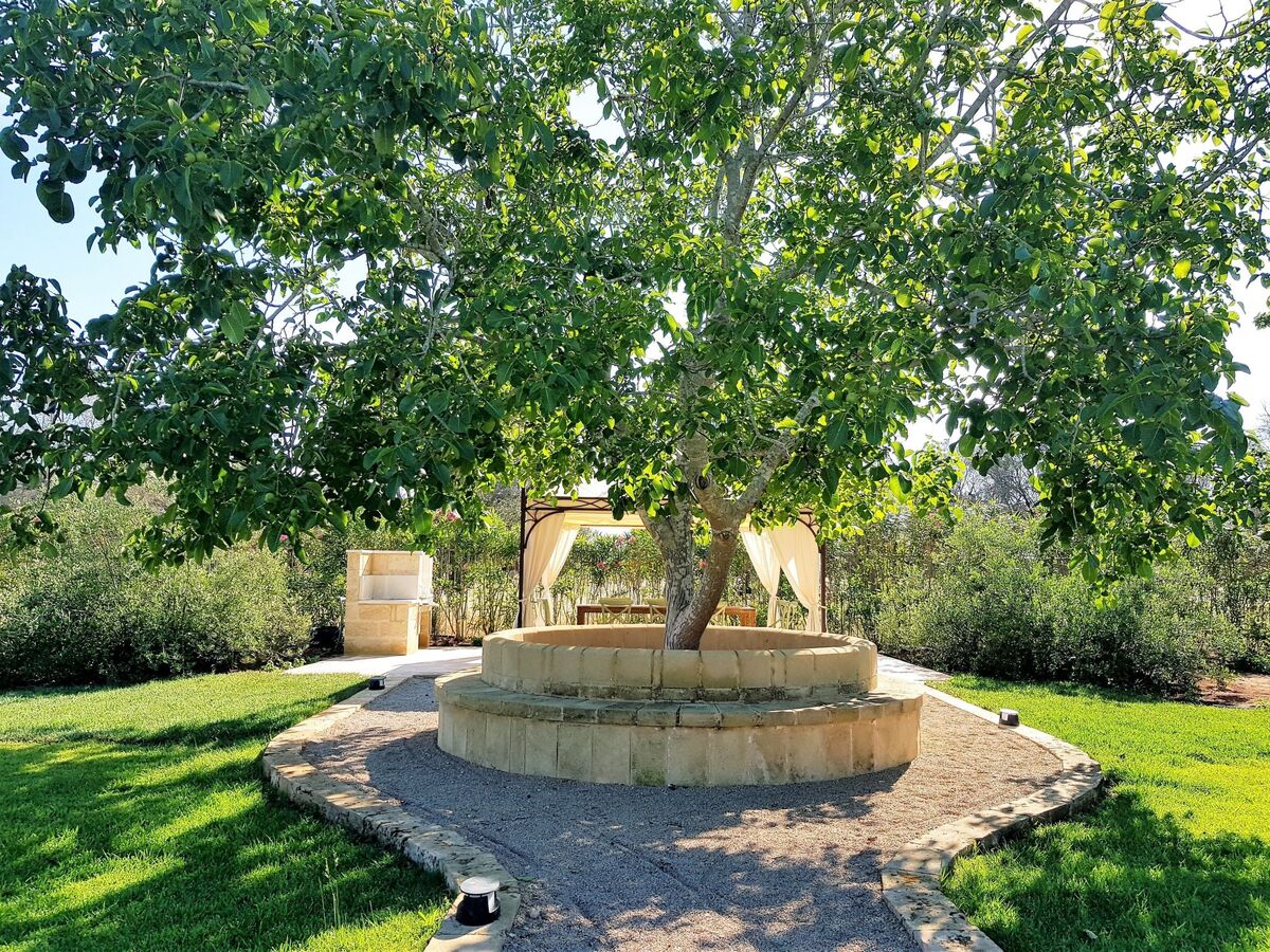 Furneddhri Fico, maison 6 pers. avec piscine à Casarano - Photo 11