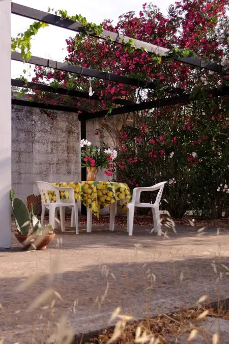 Maison avec jardin et parking à Gallipoli : photo 5