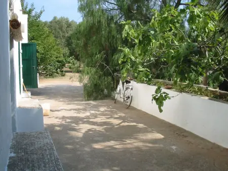 Mas du 15e siècle à Gallipoli, 4 pers., jardin : photo 4