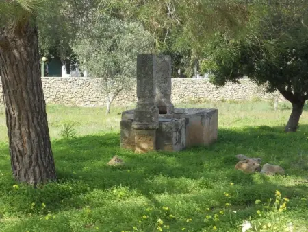 Mas du 15e siècle à Gallipoli, 4 pers., jardin : photo 9