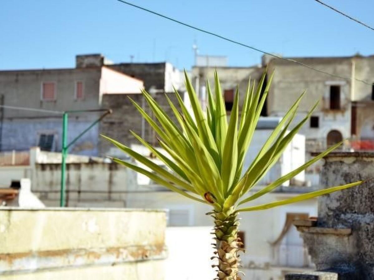 Casa Antica Canosa, maison 100m² terrase à Canosa - Photo 2