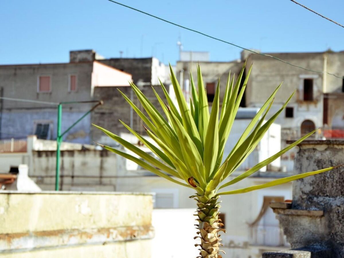 Casa Antica Canosa – Maison 5 pers. avec terrasse 30m² - Photo 3