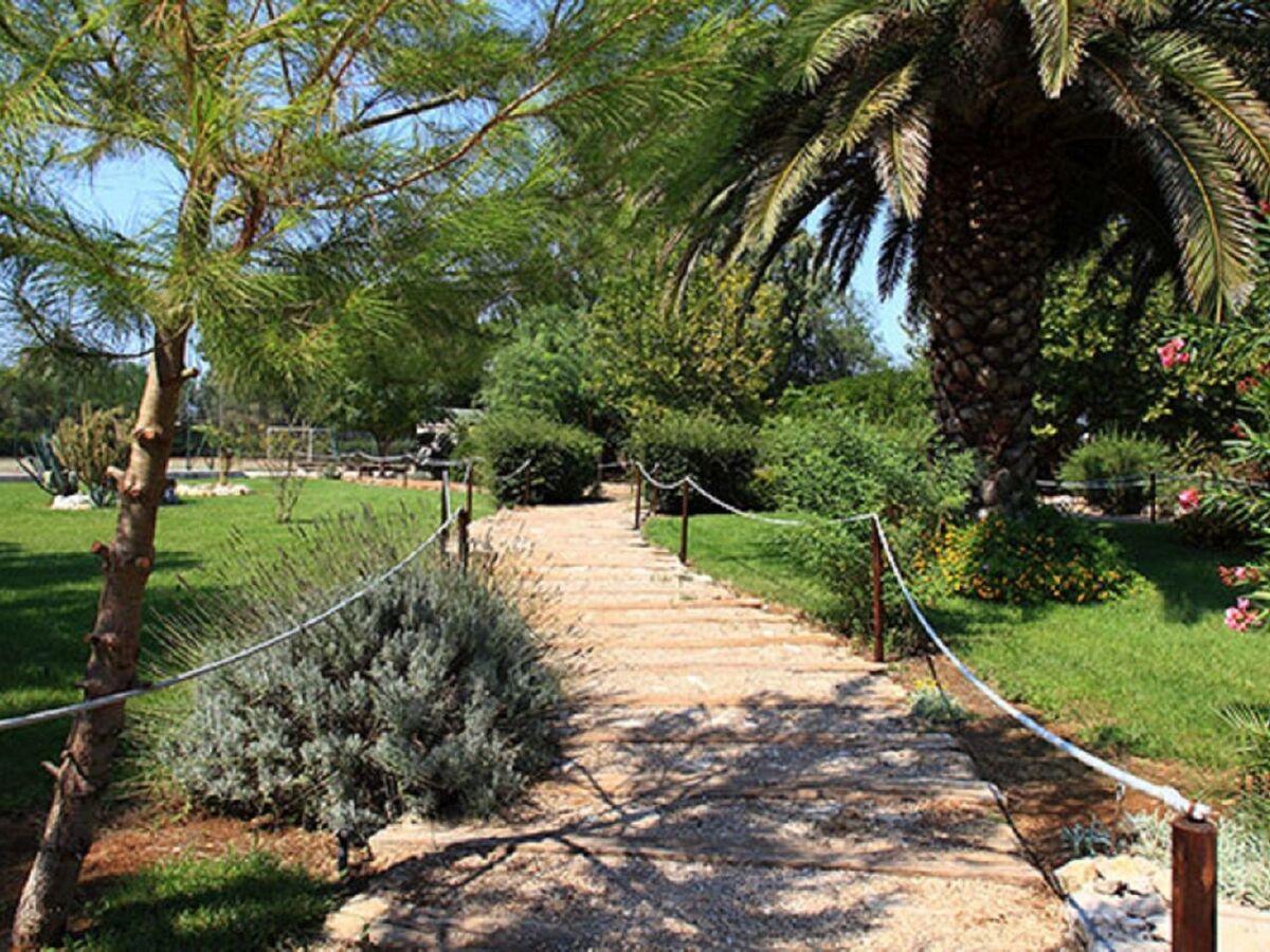 Villa Vetti – Maison 18 pers., piscine et terrain 20 000 m² - Photo 14