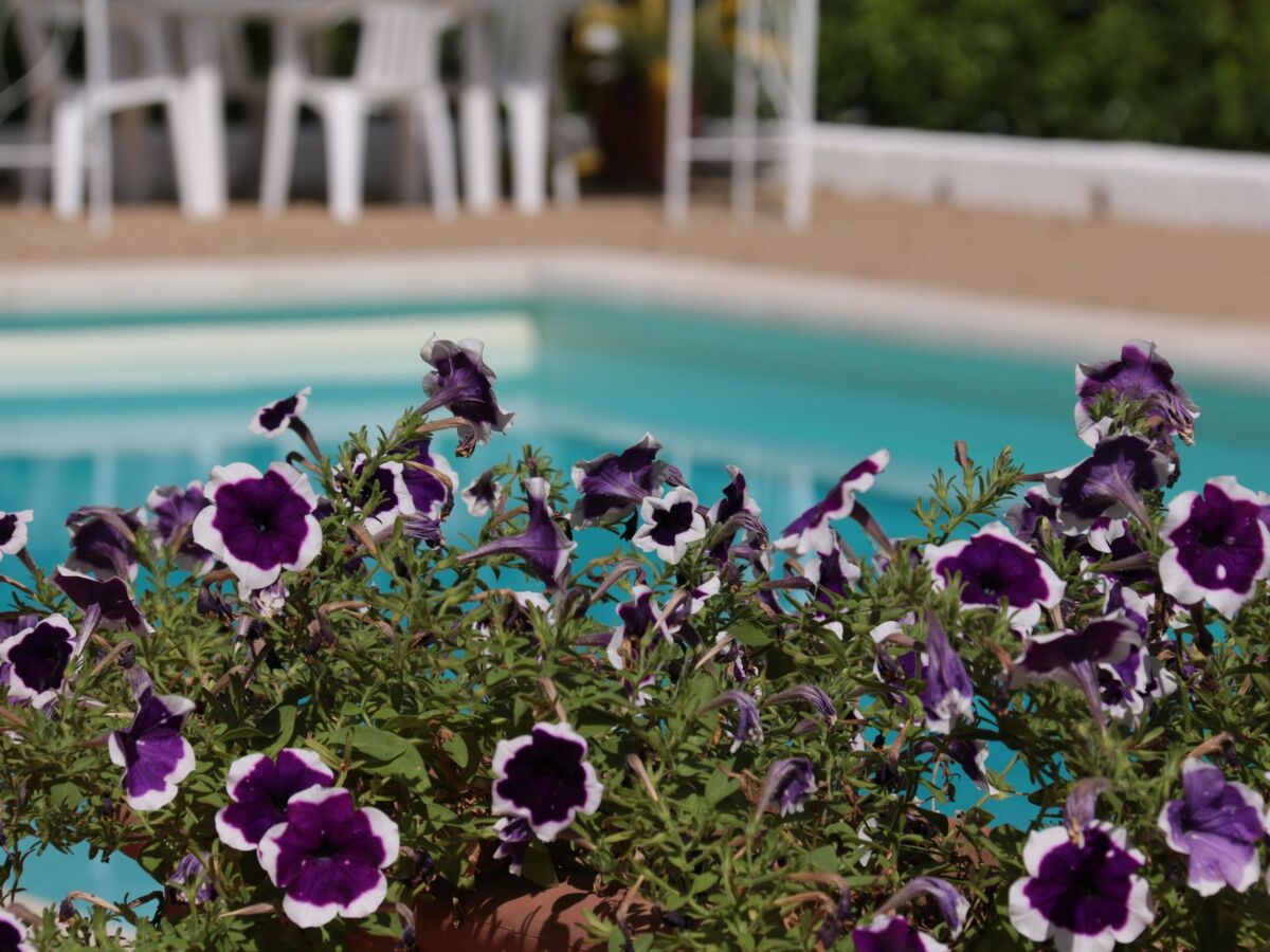 Villa Vetti – Maison 18 pers., piscine et terrain 20 000 m² - Photo 22