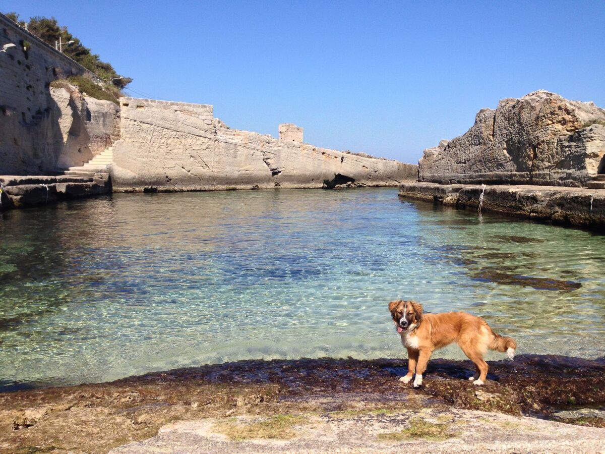 Appartement Marina Serra, 2 m de la mer et piscines naturelles - Photo 2