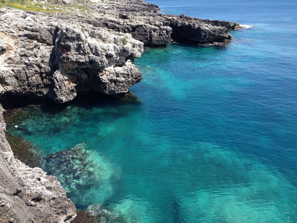 Appartement Marina Serra, 2 m de la mer et piscines naturelles - Photo 6