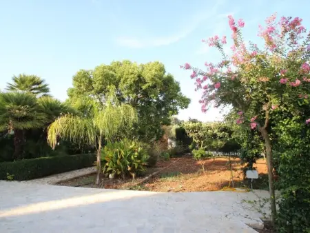 Abbasciu – Maison 5 ch. avec piscine à San Vito - Photo 11