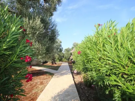 Abbasciu – Maison 5 ch. avec piscine à San Vito - Photo 13