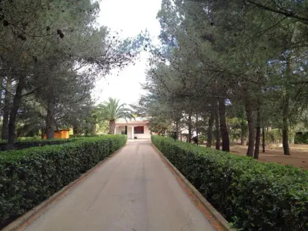 Abbasciu – Maison 5 ch. avec piscine à San Vito - Photo 19