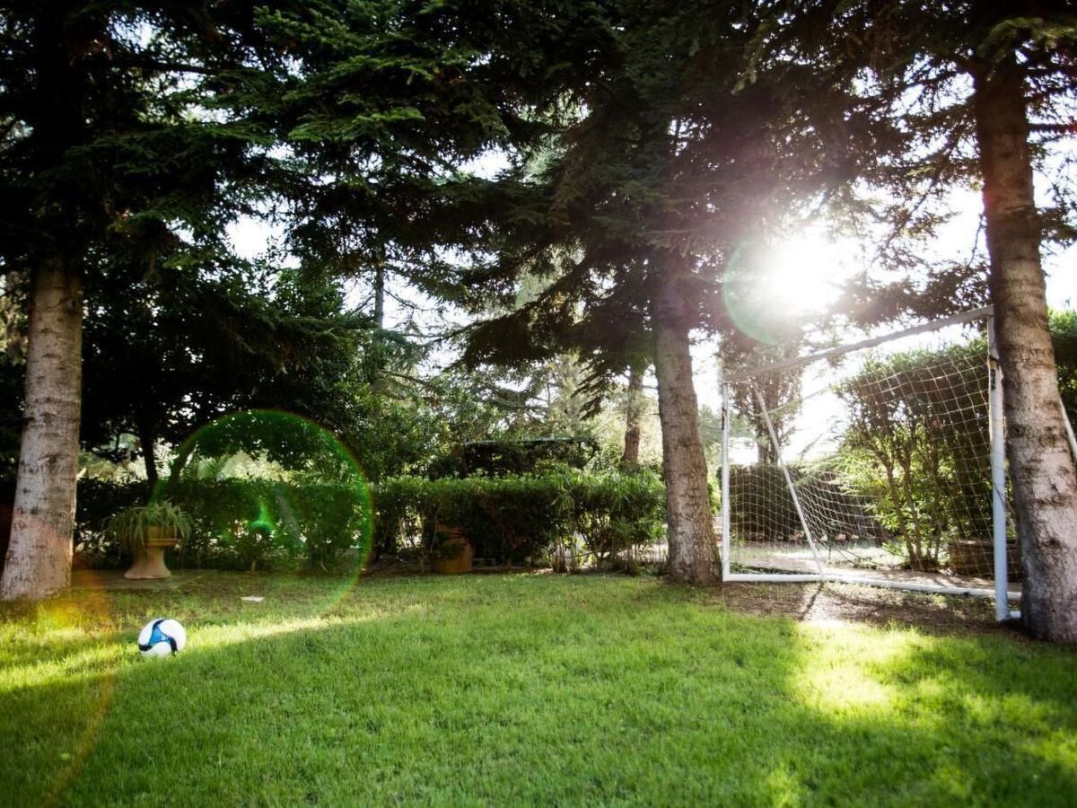 Piccinnu - Appartement 5 pers. dans oliveraie avec piscine - Photo 10