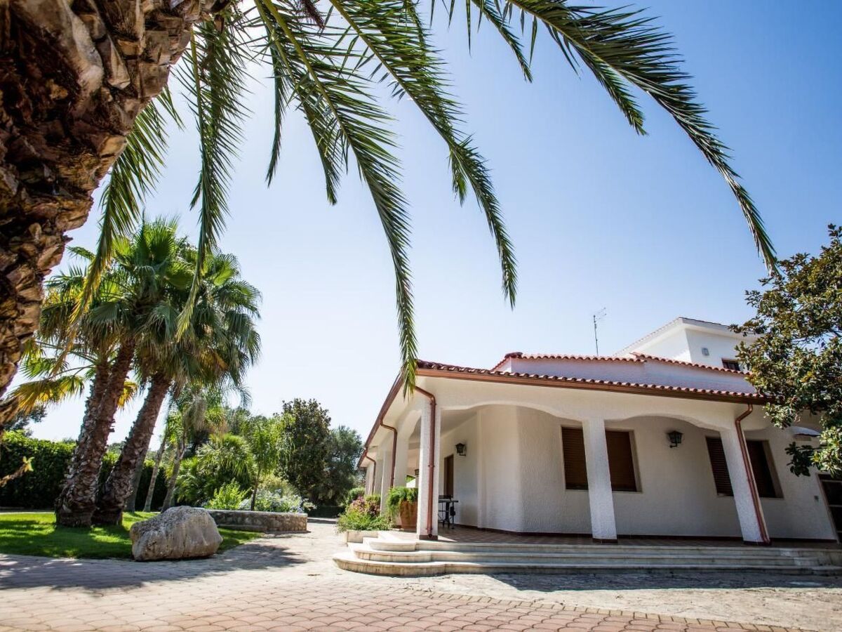 Piccinnu - Appartement 5 pers. dans oliveraie avec piscine - Photo 15