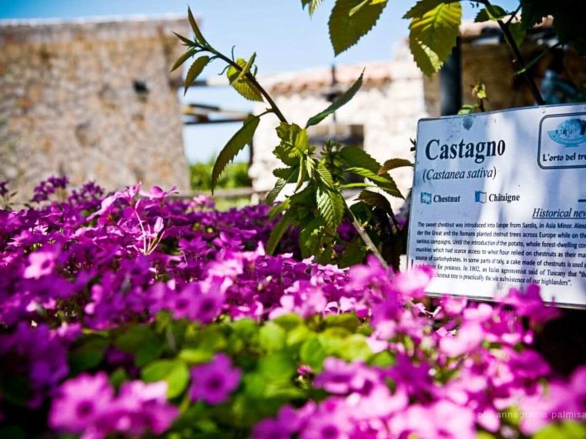 Trullo degli Archi, maison 4 pers. à Martina Franca - Photo 27
